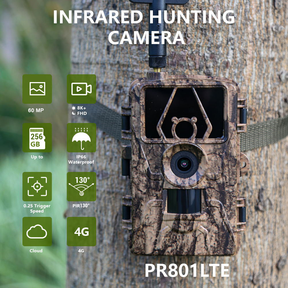 Kamera Trail dengan Gambar 8K  - Home Security Images ulasan dan harga