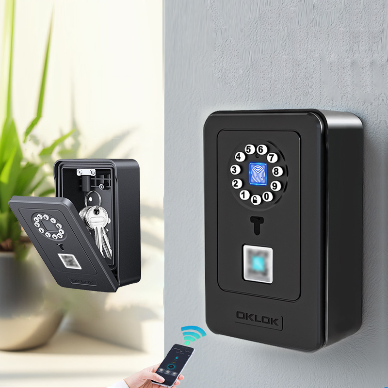 Kotak Penyimpanan Kata Sandi D - Home Security Box ulasan dan harga
