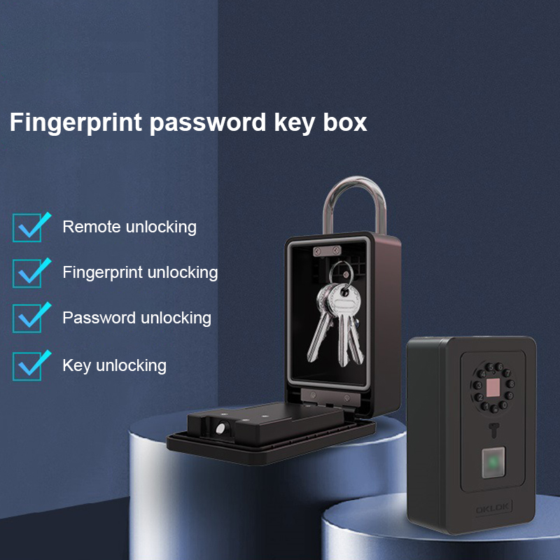 Kotak Penyimpanan Kata Sandi D - Home Security Box ulasan dan harga