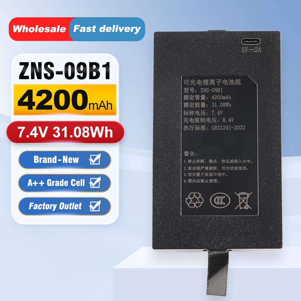 ZNS-09B1 4200mAh C+C- P-P+ Bat - Home Security Battery Replacement ulasan dan harga